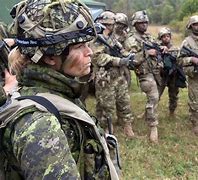 Image result for Brown V Canadian Armed Forces