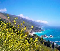 Image result for California Seeing Sites