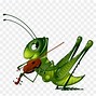 Image result for Anime Cricket Bug
