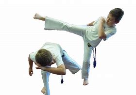 Image result for Capoeira Martial Arts for Children