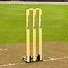 Image result for Cricket Stumps Electric