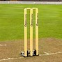 Image result for Tiny Cricket Stumps