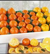 Image result for Florida Fruit Baskets