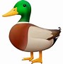 Image result for Duck Face Emoji