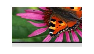 Image result for lcd projection screens 4k