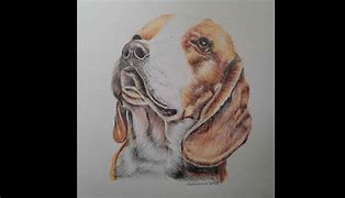 Image result for Dog Lickingt Colored Pencil