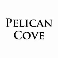 Image result for Pelican Ocean