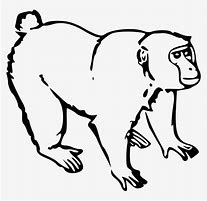 Image result for Laphing Monkey