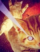 Image result for Trippy Cat Galaxy Wallpaper