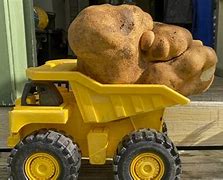 Image result for Guinnis World Record Biggest Potatoe