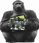 Image result for Real Me with Gorilla Glass