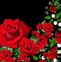 Image result for Cool 3D Background Desktop Rose