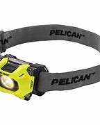 Image result for Yellow Eye Socket Pelican