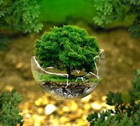 Image result for Environnement