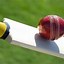 Image result for Cricket Theme Wallpaper