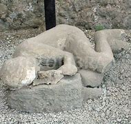 Image result for Pompeii Bodies Eyes