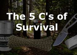 Image result for 5 C's of Survival