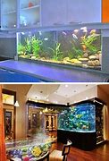 Image result for Unusual Fish Tanks Aquariums