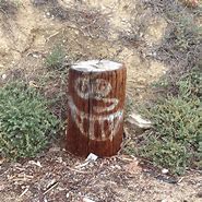Image result for Graffiti by Stump
