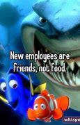 Image result for We Need You to Train the New Employee Meme