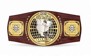 Image result for WWE NXT Champion Replica Belt