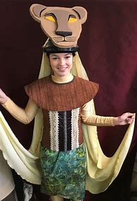 Image result for Lion King Costume Ideas