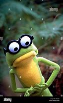 Image result for Kermit the Frog Wearing Glasses