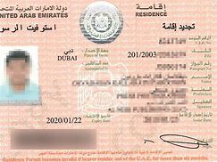 Image result for UAE Visa Details