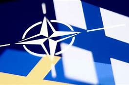 Image result for Turkey objects Sweden Finland NATO