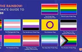 Image result for LGBT Rainbow Flag Complete