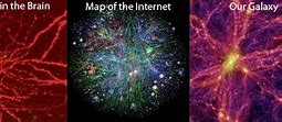 Image result for Mind Neurons Art Galaxy