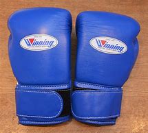 Image result for Top Ten Boxing Gloves