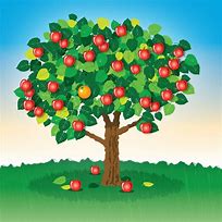 Image result for Orange Fruit Tree Clip Art