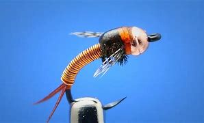 Image result for Fly Fishing Hook Chart Actual Size