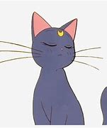 Image result for Anime Cat Aesthetic