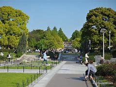 Image result for Yamashita Park Yokohama