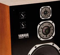 Image result for Yamaha Floor Standing Speakers