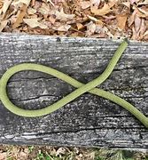 Image result for Figure of Eight Retrace