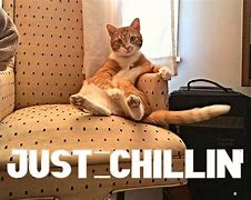 Image result for I'm Just Chillin Eat in My Biscuit Meme