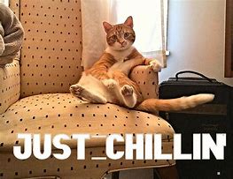 Image result for Time to Chill Meme