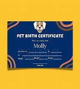 Image result for Birth Certificate Print Out