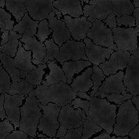 Image result for Black Bone Texture
