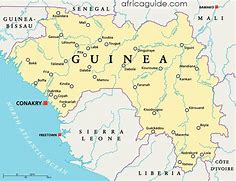 Image result for ginea