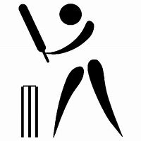 Image result for Cricket Game to Play