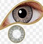 Image result for Green Eye Contacts