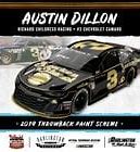 Image result for Austin Dillon Daytona 500
