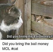 Image result for Bail Money Meme