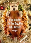 Image result for Vegan Turkey Meme