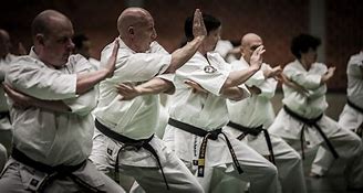 Image result for Kyokushin Dojo