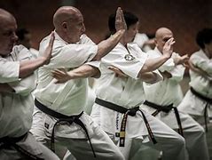 Image result for Kyokushin Fights